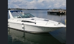 Sea Ray Sundancer 290-kuva-1